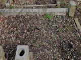 image of grave number 784619